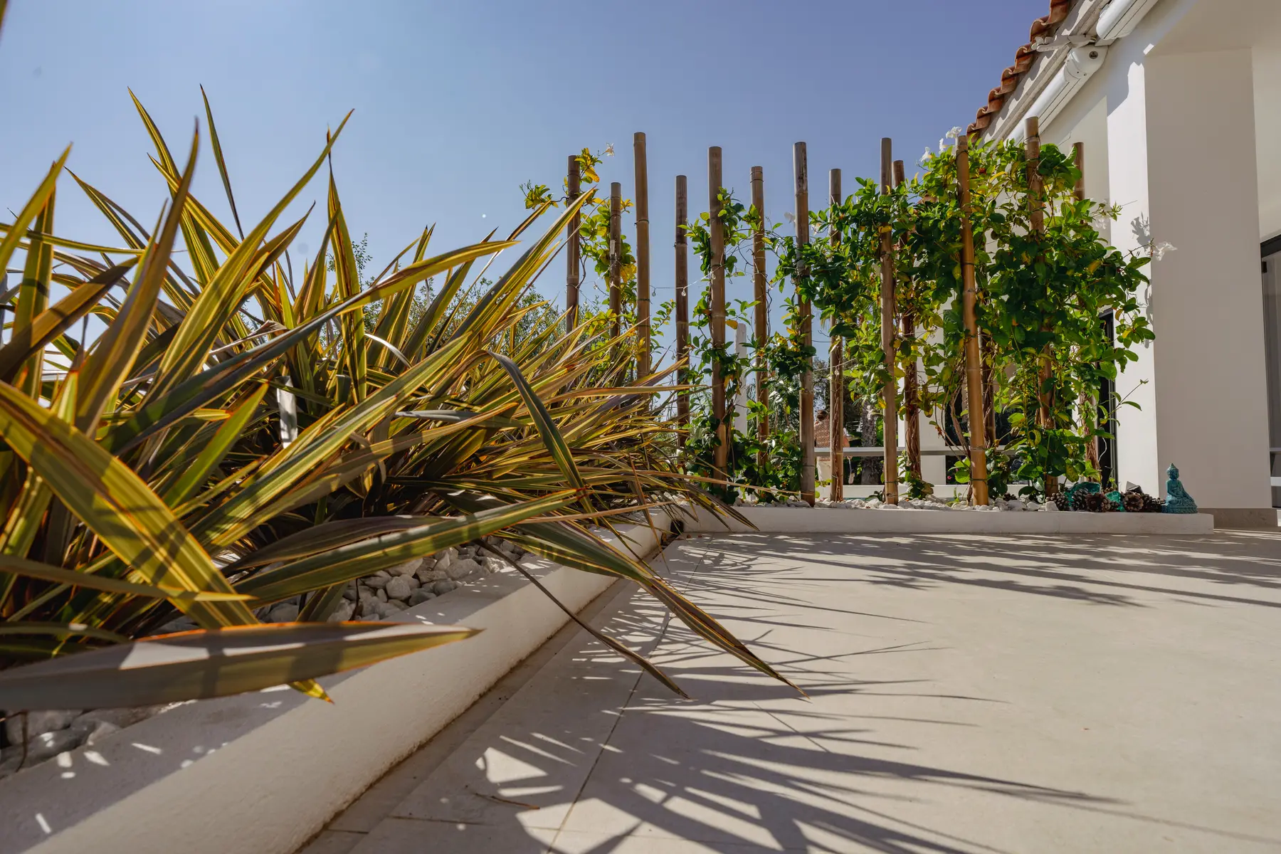 A detail from one of the gardens we look after on the Costa Brava