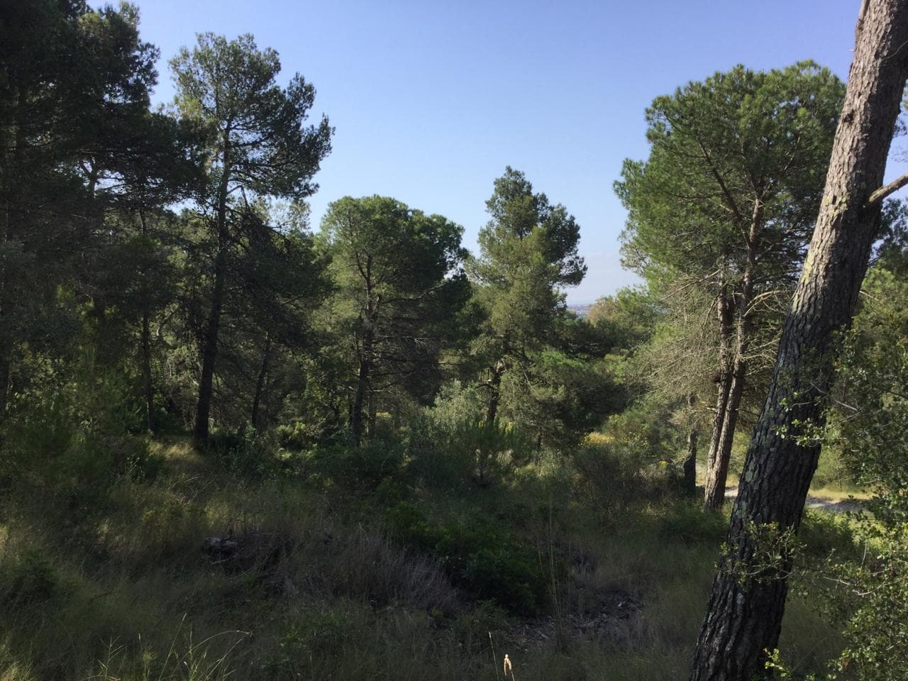 Nueva urbanización a una corta distancia de la costa de Palamós Parcela 35