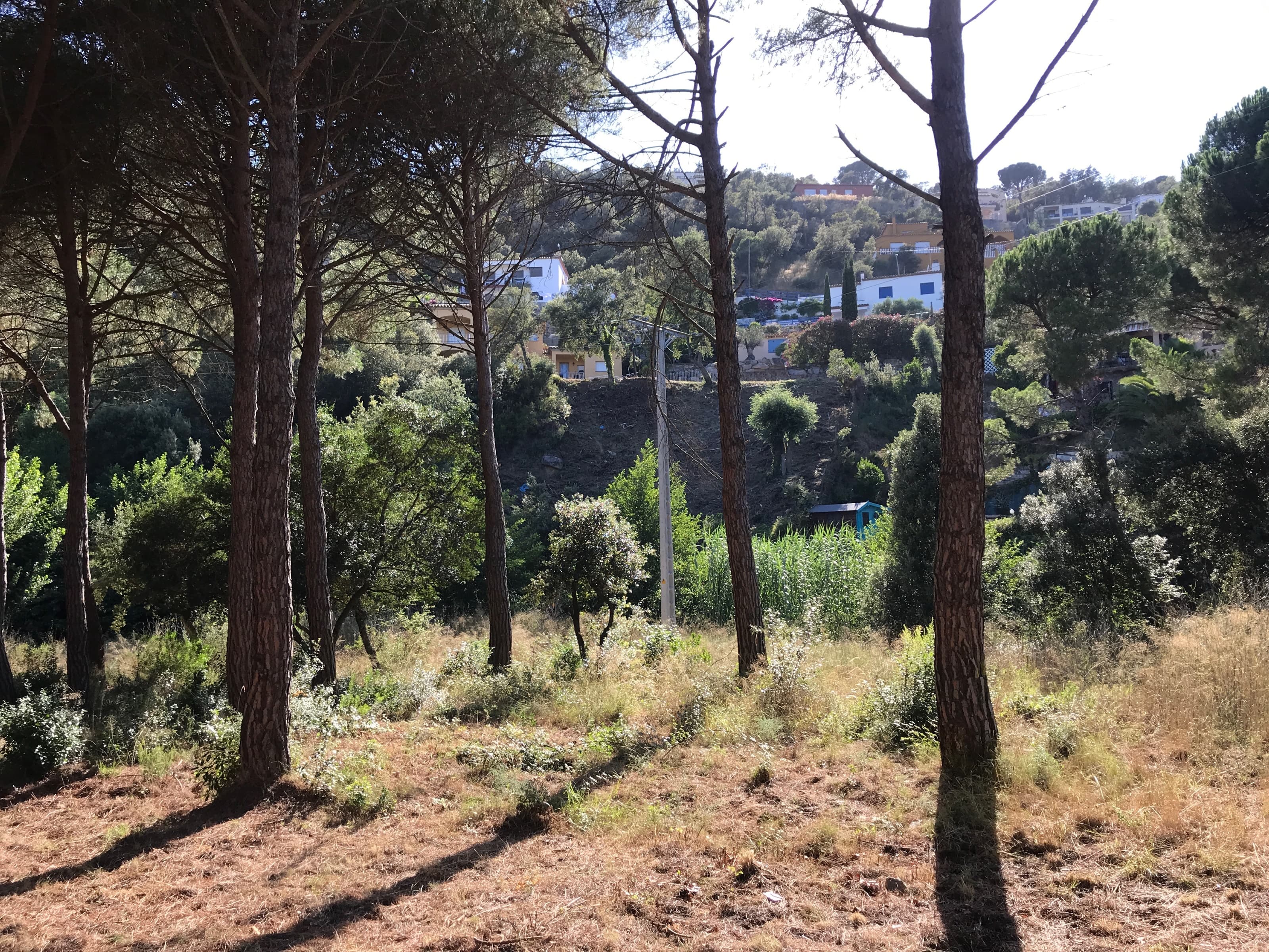 Plot in Rio de Oro