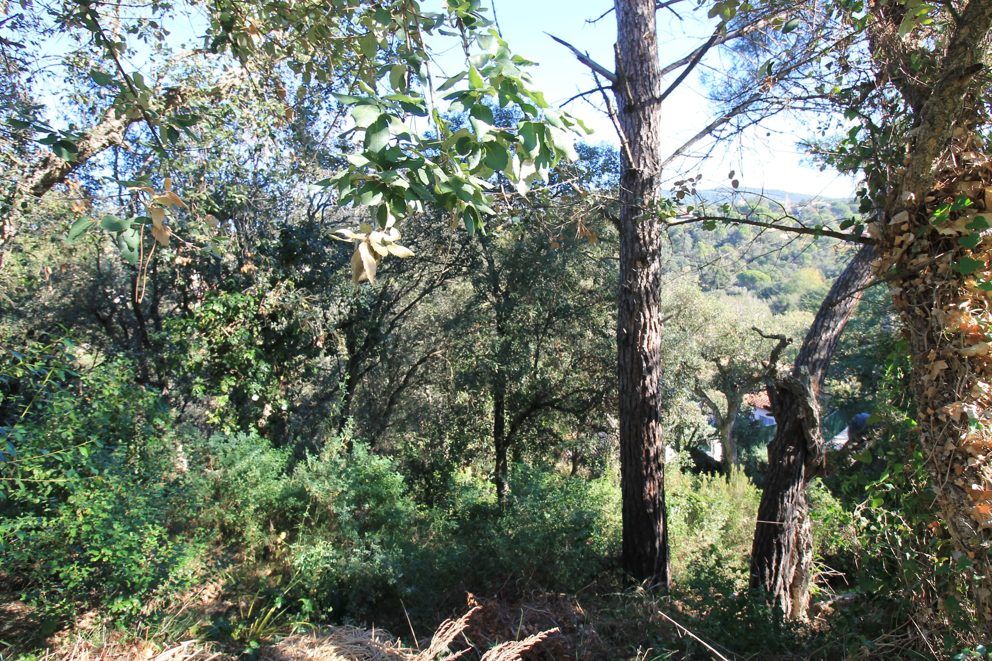 Plot of land in the middle of nature with open views
